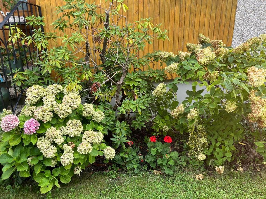 Marinela'S Bnb Wien Ngoại thất bức ảnh
